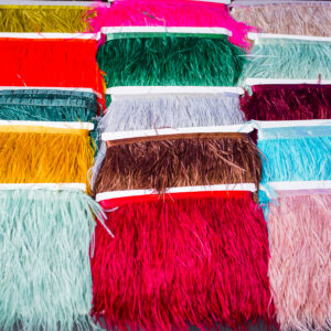 Ostrich Feathers (Yard)